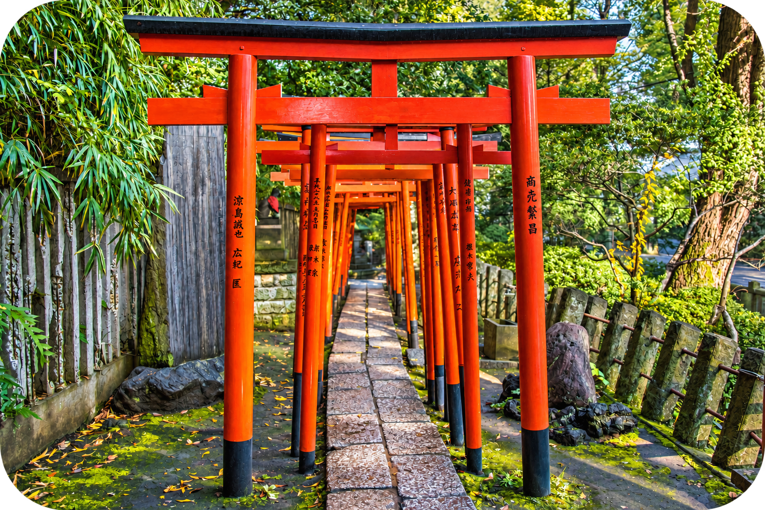 根津神社 丸角